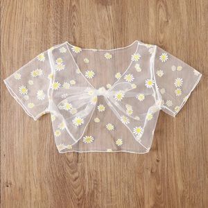 Mesh Daisy Set